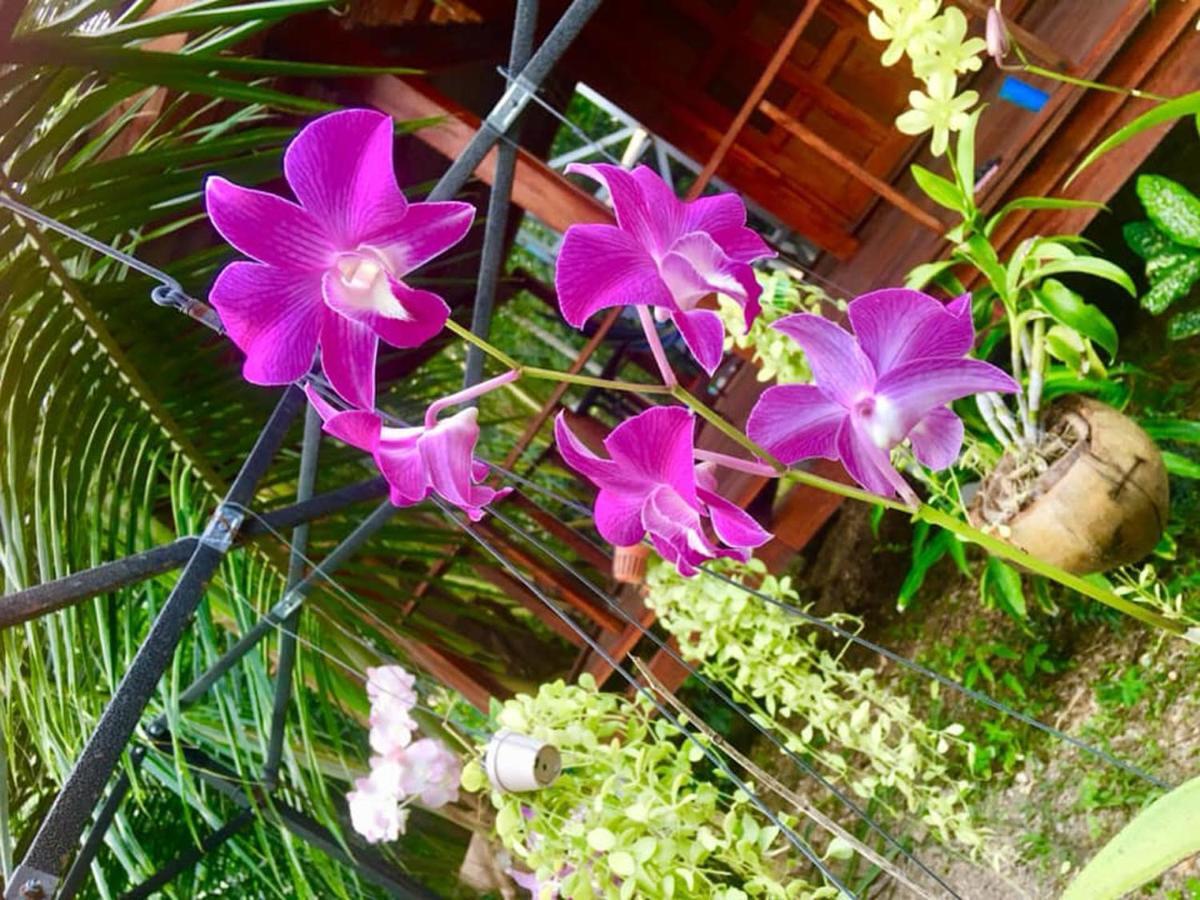 Lanta A Toi House Hotel เกาะลันตา ภายนอก รูปภาพ